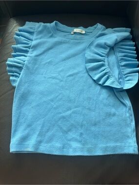 Zara Bright Blue Ruffle Sleeve Top